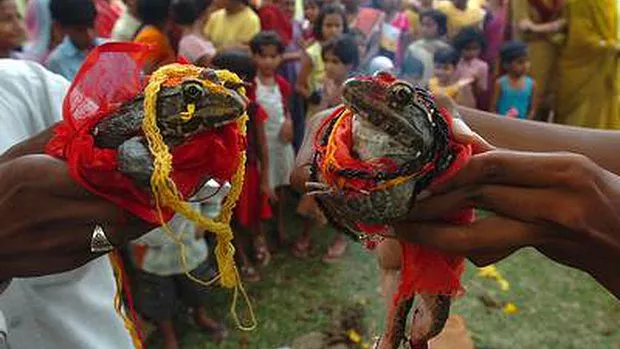 Dünyanın En İlginç Ülkesi Hindistan Hakkında 5 Bilgi